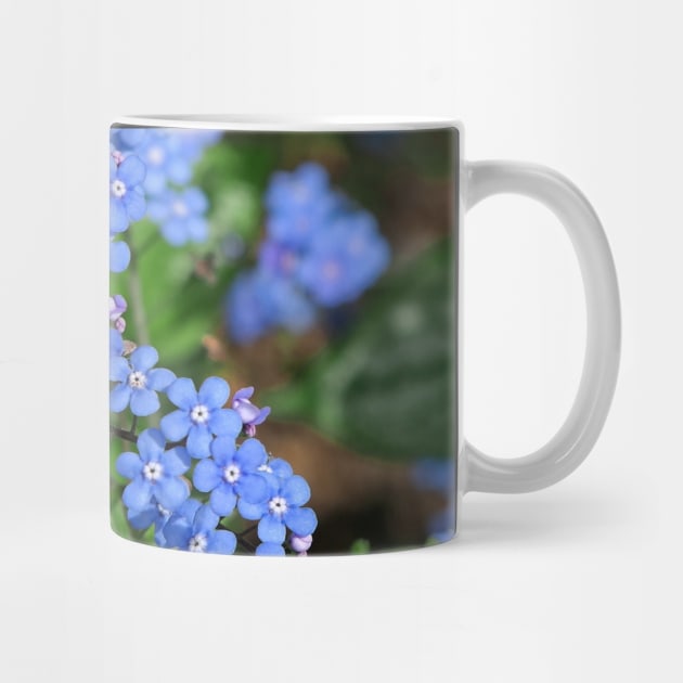 Forget-me-nots (Myosotis) by Ludwig Wagner